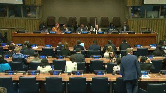 ECOSOC and PBC Joint Meeting on Situation in Sahel