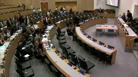 General Assembly: World Conference on Indigenous Peoples - Informal consultations, 69th session