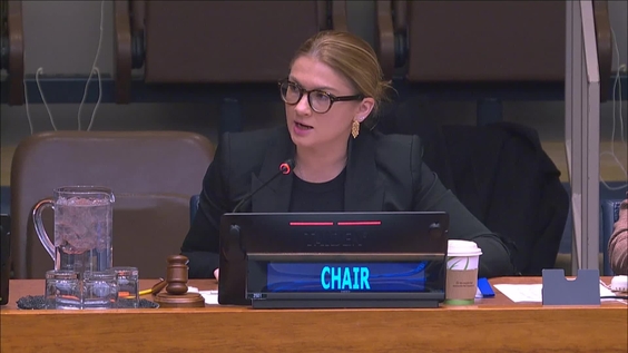 8th plenary meeting - 64th Session of the Commission for Social Development (CSocD64)