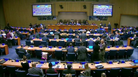 First Committee, 30th meeting - General Assembly, 73rd session
