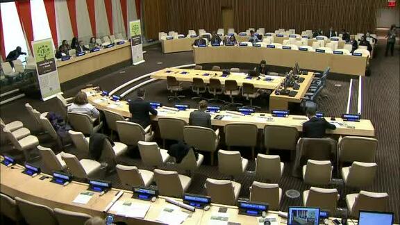 Special Event “ International Day of Forests:  Create a Climate Smart Future”