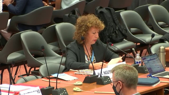 3591st meeting, 73rd session of the International Law Commission