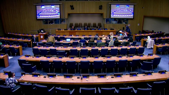 Promoting the Health and Well-Being of Women and Children in Africa (CPD58 Side Event)