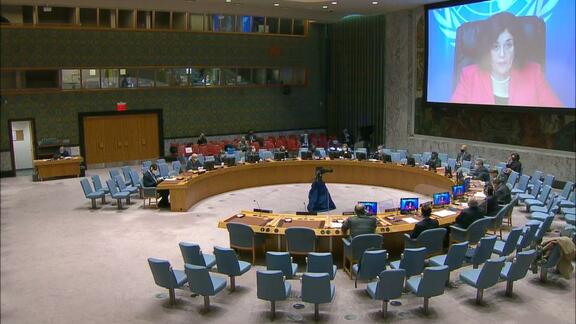 Situation in Democratic Republic of the Congo - 8778th Meeting of Security Council
