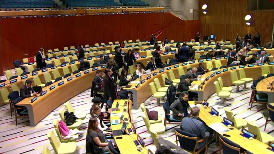 General Assembly: High-level plenary meeting of the Assembly devoted to ...