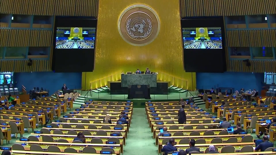 General Assembly: 33rd plenary meeting, 79th session