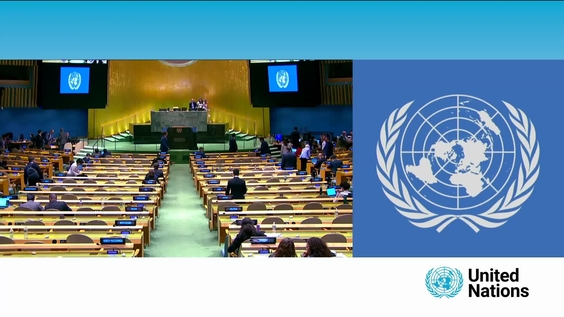 (Plenary segment) Summit of the Future - General Assembly, 4th plenary meeting, 79th session