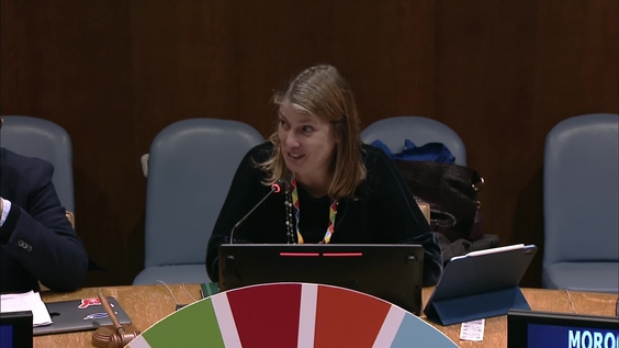 Evaluating Our Common Framework from the Local Perspective: Time to Ask the Questions (ECOSOC Partnerships Forum Side Event)