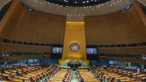 General Assembly: 88th Plenary Meeting, 75th Session