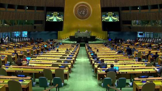 General Assembly: 88th plenary meeting, 75th session