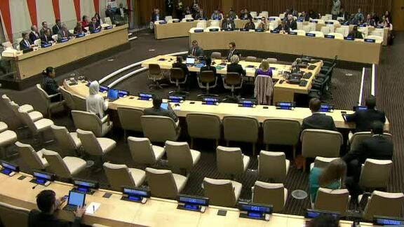 General Assembly: Preparations for 21st Conference on United Nations Convention on Climate Change