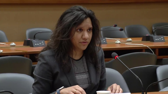 Testimony by Anjli Parrin (Day 2) Public Hearings - Commission of Inquiry on the OPT and Israel