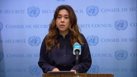 Lana Nusseibeh (UAE, SC President) on Middle East - Security Council Media Stakeout