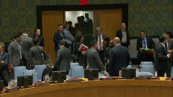 8225th Security Council Meeting: Situation in Middle East