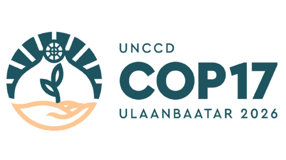 (1st Meeting) Committee for the Review of the Implementation of the Convention - UNCCD COP17