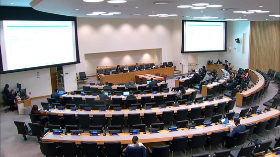 (15th plenary meeting) Committee on Non-Governmental Organizations, 2026 resumed session, Economic and Social Council
