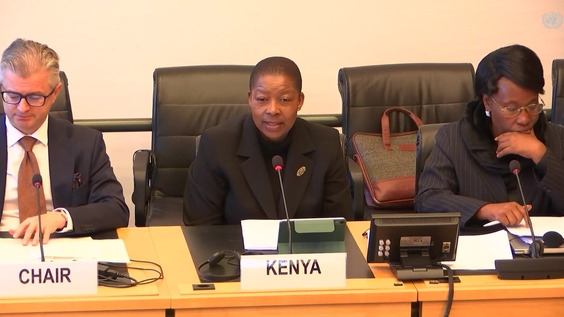 3123rd Meeting, 114th Session, Committee on the Elimination of Racial Discrimination (CERD)