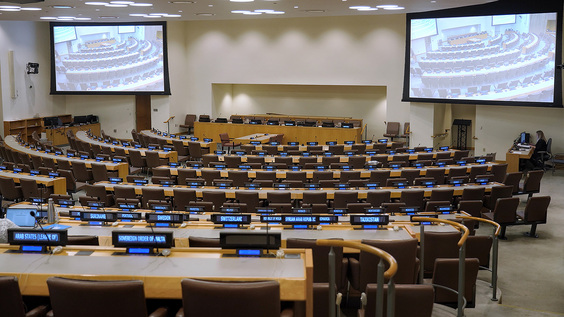 Steering Committee on partnerships for Small Island Developing States (at the ambassadorial level)