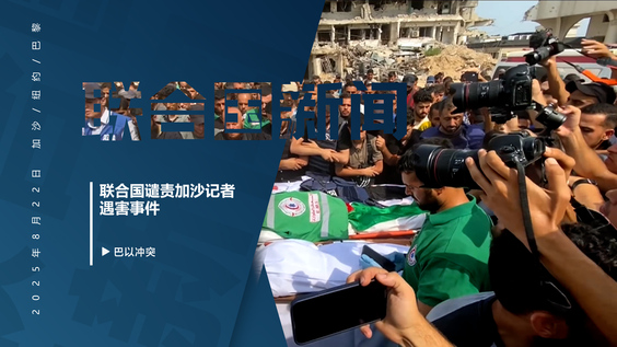 联合国谴责加沙记者遇害事件
