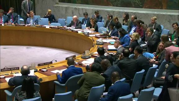 8617th Security Council Meeting: Situation in Central African Republic