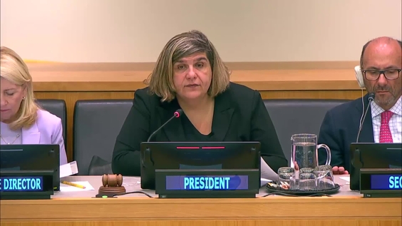 (5th plenary meeting) UNICEF Executive Board, 2024 Annual Session