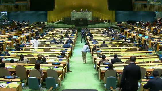 Second Committee, 28th meeting - General Assembly, 72nd session