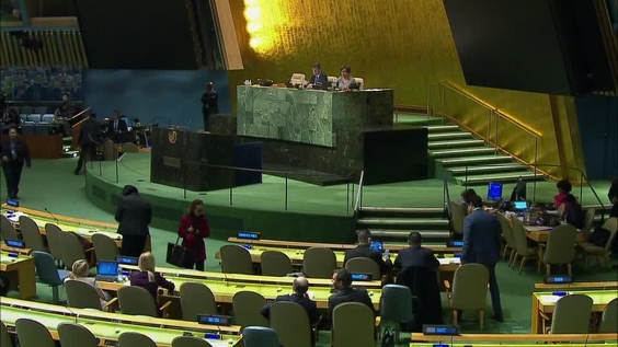 Asamblea General, 74ª Sesión Plenaria, 72° Periodo de Sesiones
