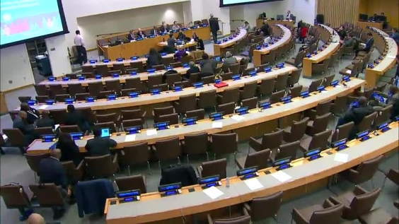 (5th Plenary) 52nd session of the Commission on Population and Development (1 - 5 April 2019)