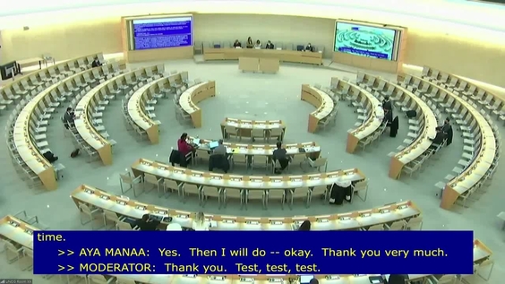 3rd Meeting, 14th session of the Forum on Minority Issues