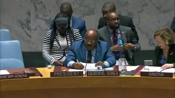 8460th Security Council Meeting: Threats to International Peace and Security