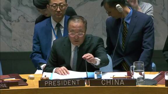 Situation in Afghanistan - 8742nd Security Council Meeting