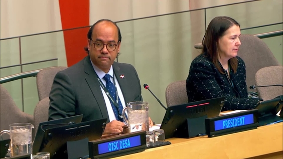 Economic and Social Council: 4th plenary meeting, 2026 session