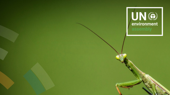 Leadership Dialogue 3 | UNEA-7