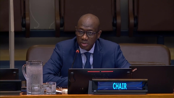Fourth Committee, 1st plenary meeting - General Assembly, 81st session