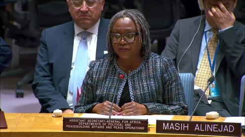Martha Ama Akyaa Pobee (DPPA/DPO) on the situation in the Middle East - Security Council, 10091st meeting