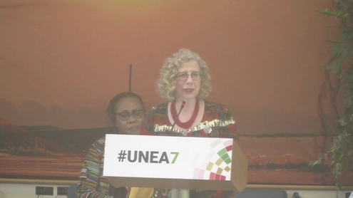 Inger Andersen (UNEP Executive Director), Opening Plenary | UNEA-7