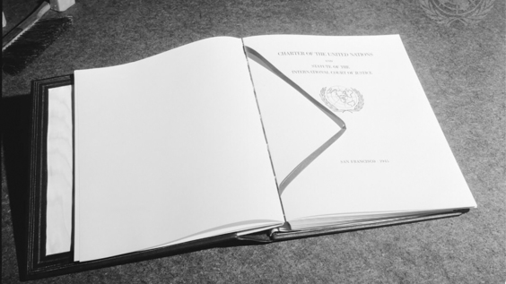 Special Committee on the Charter of the United Nations and on the Strengthening of the Role of the Organization - 2026 Session, 315th plenary meeting