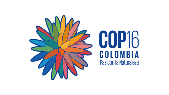 Press Conference: How biodiversity offsetting and crediting destroys nature and undermines the rights of peoples – United Nations Biodiversity Conference 2024