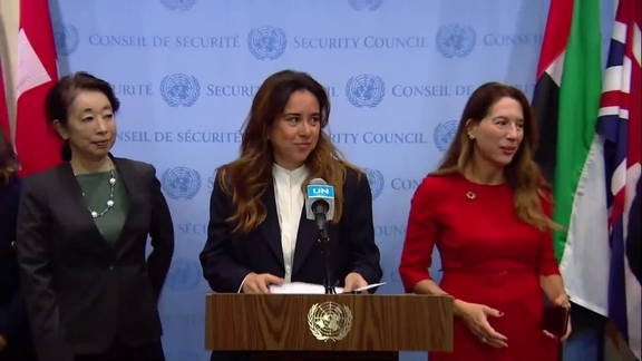 Joint Stakeout on the Situation in the Central African Republic- Security Council Media Stakeout