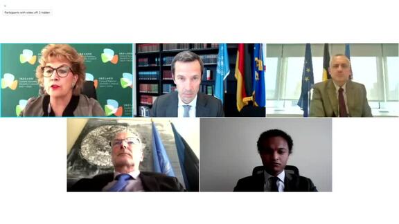 Virtual Media Stakeout by European Union Members