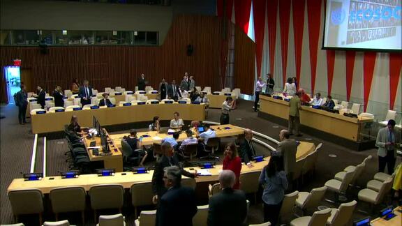 1st Plenary Meeting of ECOSOC Session 2020
