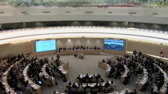 Appointment Special Procedure Mandate Holders - 41st Meeting 23rd Regular Session Human Rights Council