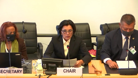 3919th Meeting, 136th Session, Human Rights Committee (CCPR)