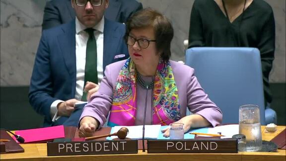 8607th Security Council Meeting: Situation in Mali