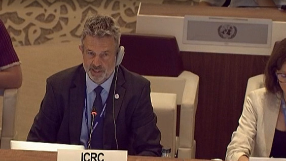 7th Meeting, 2nd Session Group of Governmental Experts on Lethal Autonomous Weapons Systems 2024