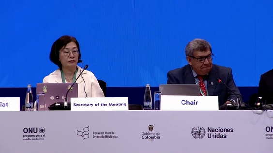 Working Group 2 (12th meeting) at COP16 – United Nations Biodiversity Conference 2024