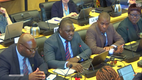 Consideration of Zimbabwe (cont'd)