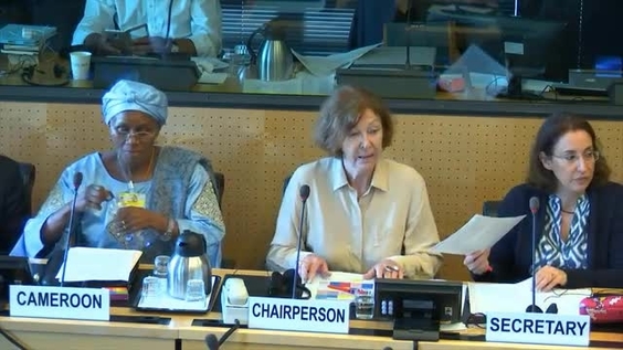 Consideration of Cameroon - 2214th Meeting 75th Session Committee on the Rights of the Child