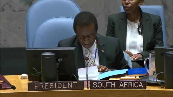 8646th Security Council Meeting: Situation in Central African Republic