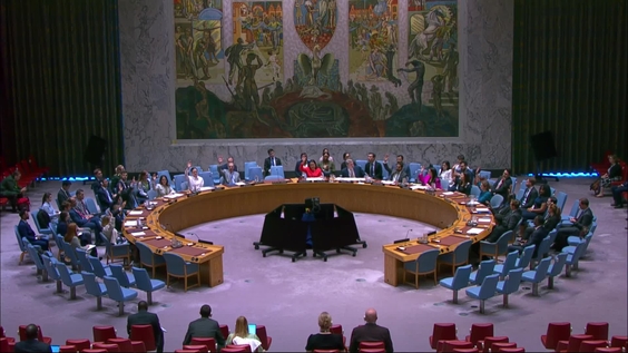 Democratic Republic of the Congo - Security Council, 9951st meeting